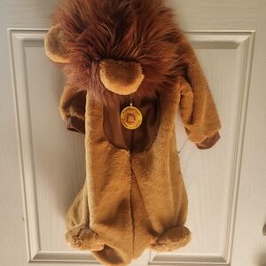 Adorable Baby Lion Costume
